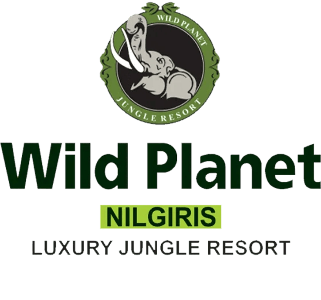 Nilgiris